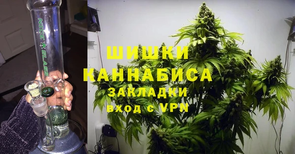 соль ск Алзамай