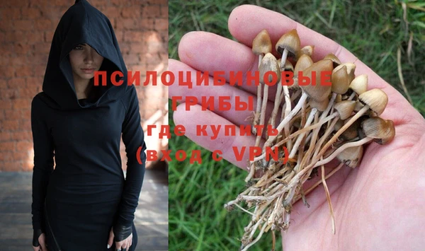 твердый Алексин
